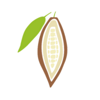 Cocoa Seed Butter