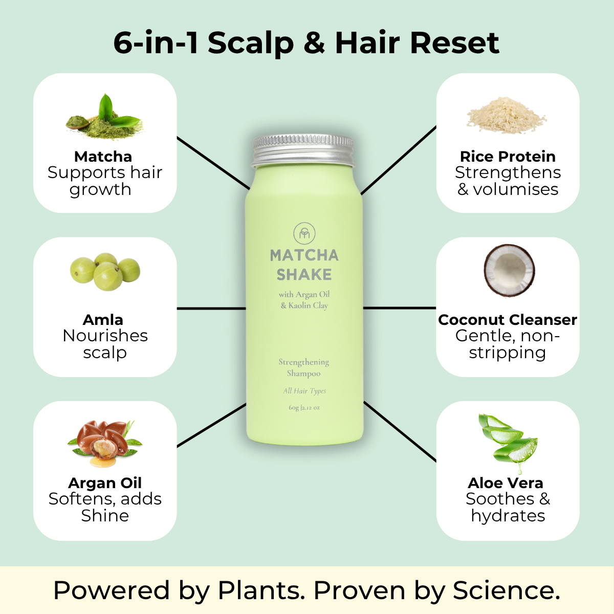 Matcha Shake Shampoo Concentrate | For All Hair Types thumbnail-image-3