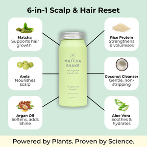 Matcha Shake Shampoo Concentrate | For All Hair Types thumbnail-image-3