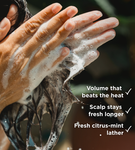 Matcha Shake Sulfate-Free Shampoo Concentrate