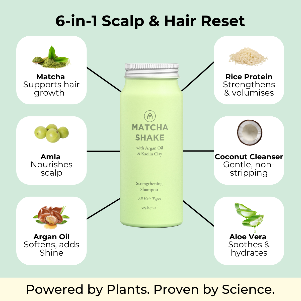 Matcha Shake Shampoo Concentrate | For All Hair Types thumbnail-image-3