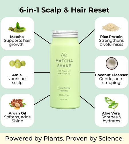 Matcha Shake Shampoo Concentrate | For All Hair Types
