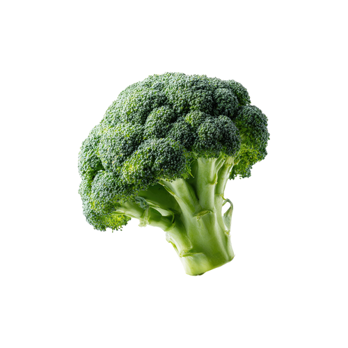 Broccoli Seed