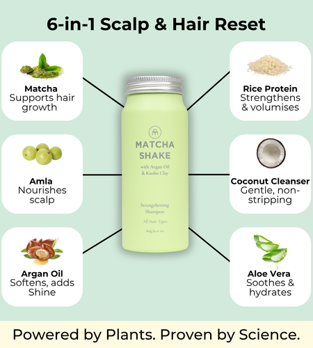 Matcha Shake Shampoo Concentrate | For All Hair Types