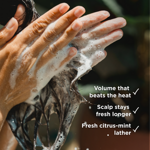 Matcha Shake Sulfate-Free Shampoo Concentrate | Scalp Care + Volume thumbnail-image-4